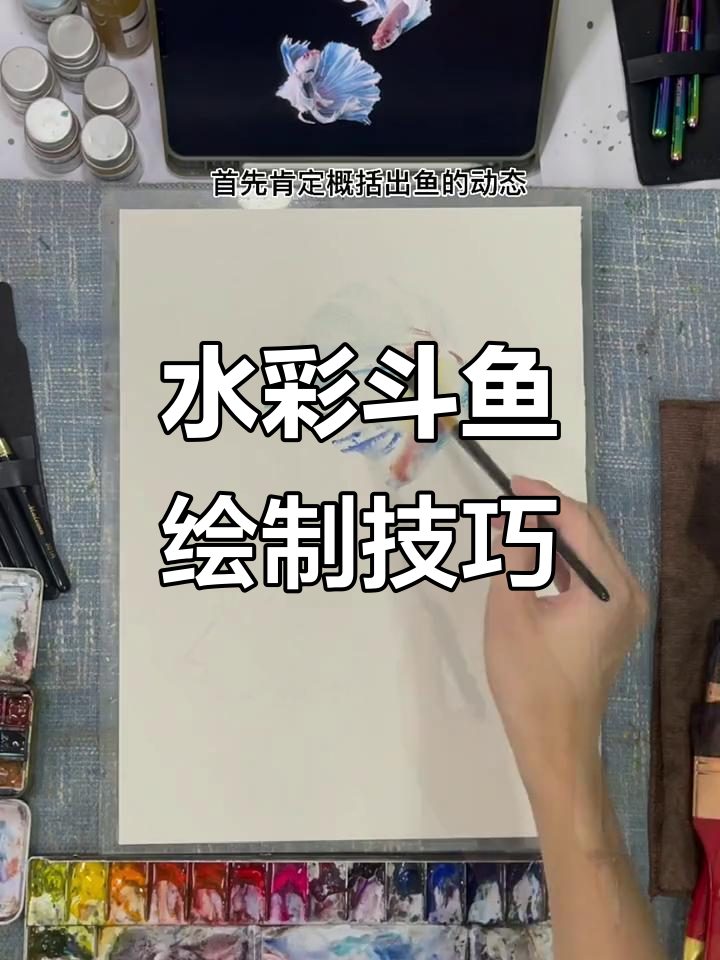 唯美斗鱼水彩,细节刻画让人惊艳
