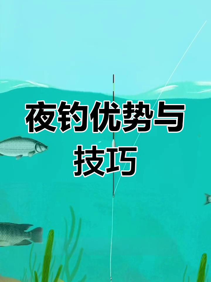 夜间钓鱼技巧大揭秘,如何钓获更多大物?