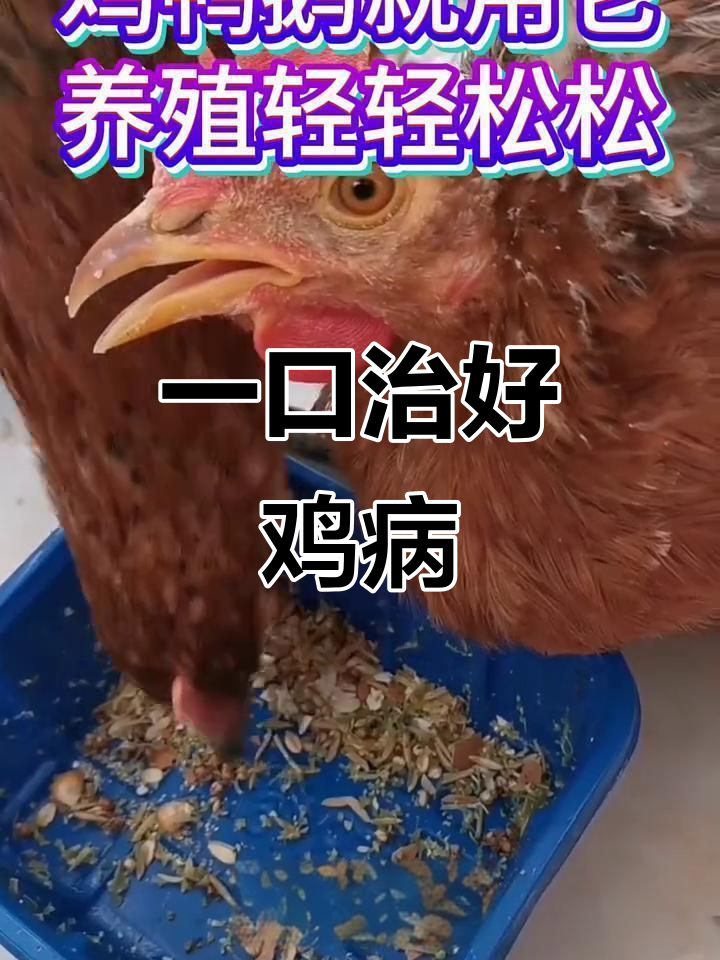 鸡鸭鹅常见疾病一剂治愈,效果立竿见影