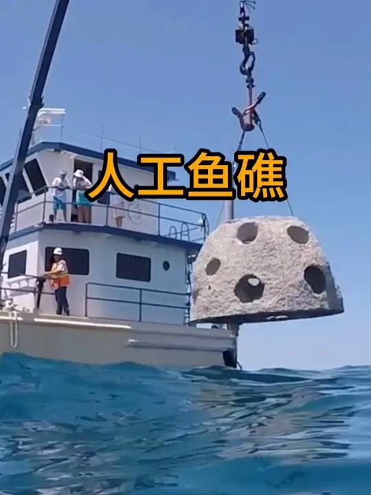 原来鱼礁还有人工的!不仅可以改善海洋环境,还发展成新型葬礼 人工鱼礁 科普 涨知识 有趣