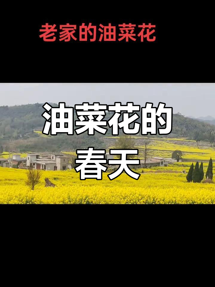 春天的油菜花,乡村的美丽记忆
