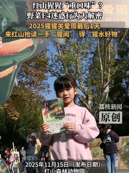 11月15日,南京红山森林动物园“2025国际猩猩关爱周”圆满收官。这场以“聚焦希望,积极