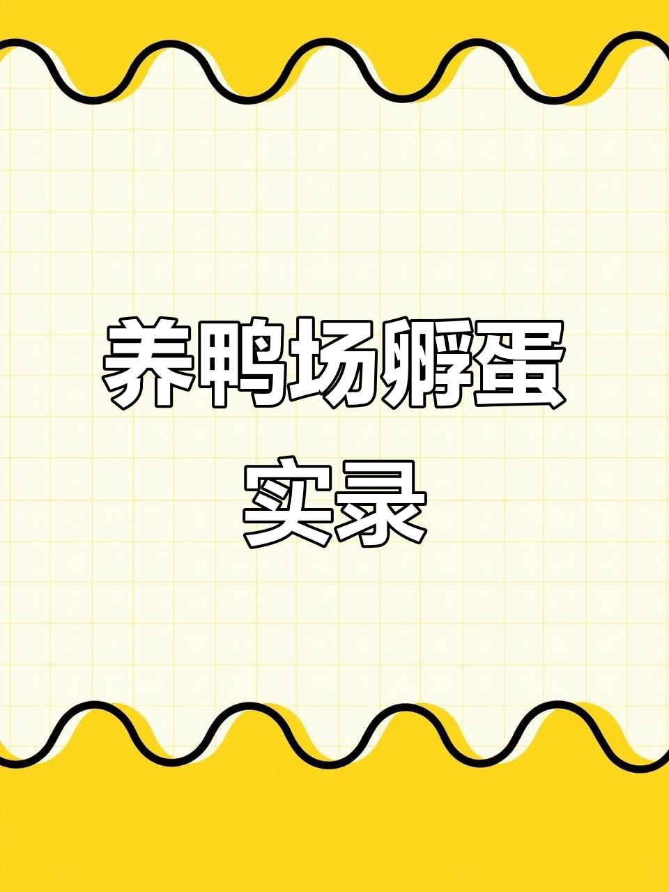 鸭蛋孵化全过程:从自由放养到小鸭出生的成长之旅