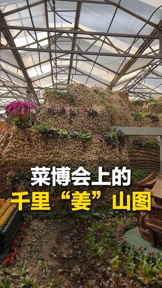 4月20日 山东寿光。菜博会上的蔬菜景观,鄂尔多斯大剧院 喀什古城都是用蔬菜做的!更有千里