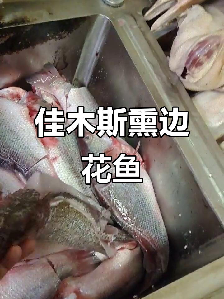 佳木斯特色熏鱼大揭秘:鞭花、铜锣与哈鱼的完美搭配