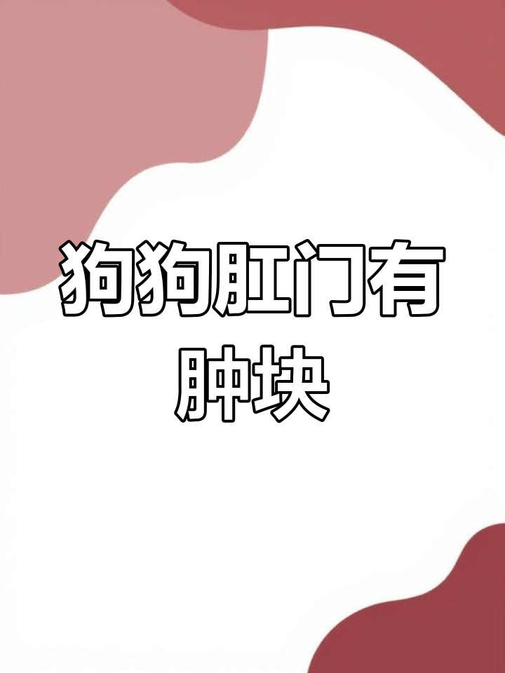 狗狗肛门旁长疙瘩,变大流血怎么办?