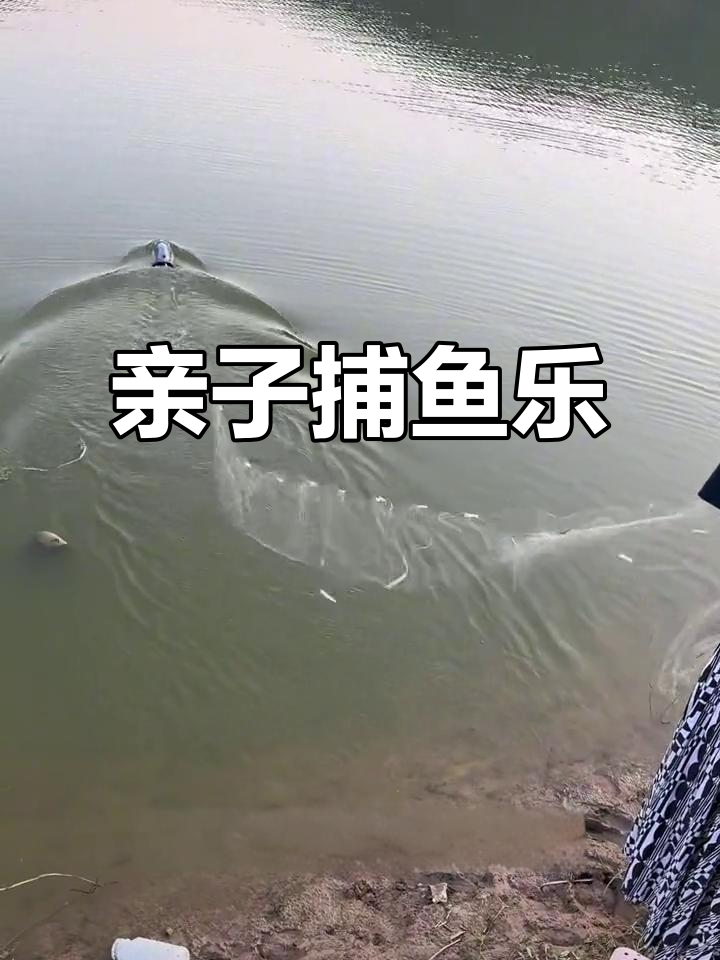 带娃捕鱼，遥控船乐趣无穷！