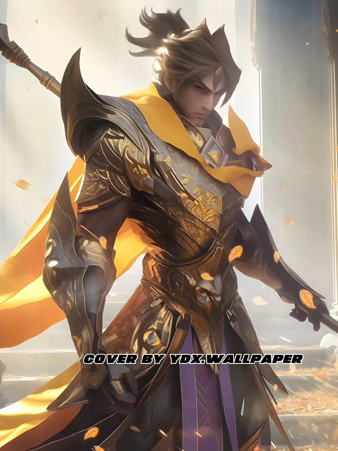 送你一张赵云动态壁纸