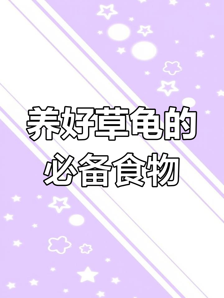 草龟健康养殖秘诀:鱼干虾干必不可少,淡水产品更佳