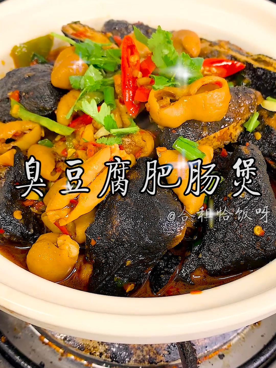 臭豆腐肥肠煲