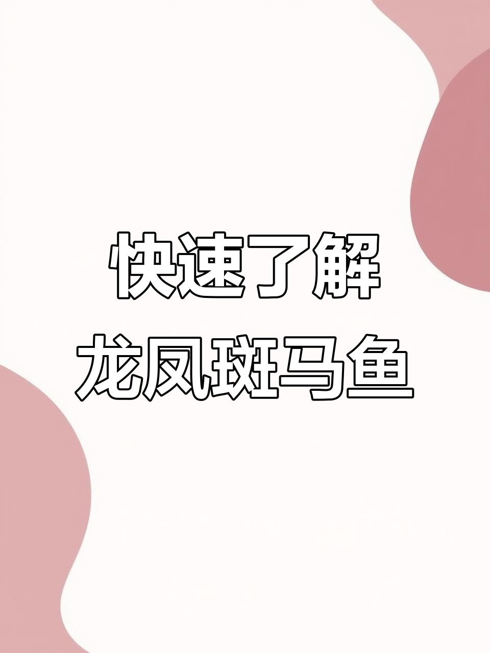 龙凤双色蝶翼斑马鱼：一生20秒精彩回顾