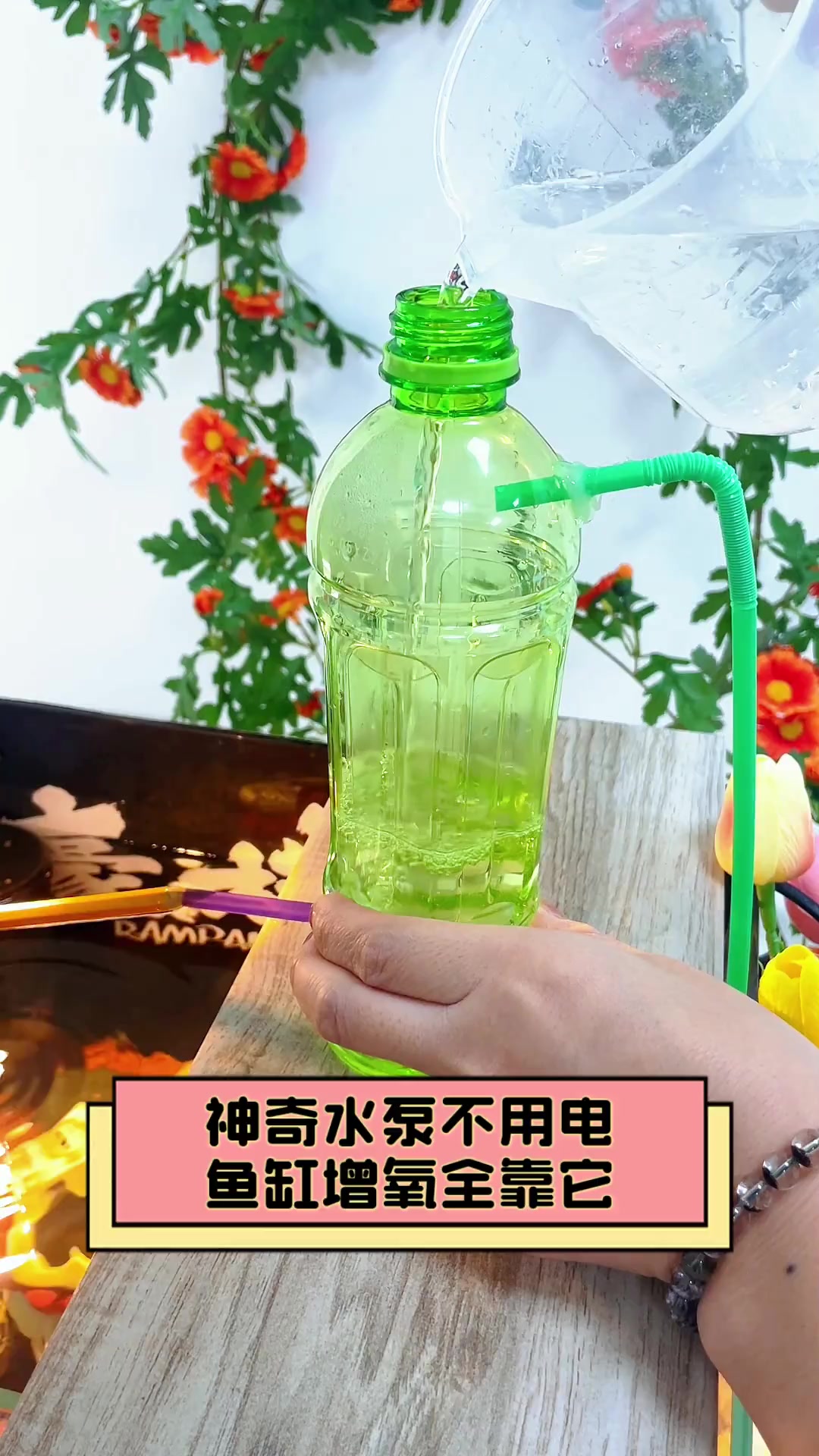 神奇水泵不用电,鱼缸增氧全靠它