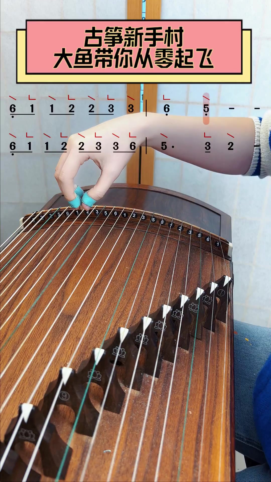 古筝新手村,大鱼带你从零起飞