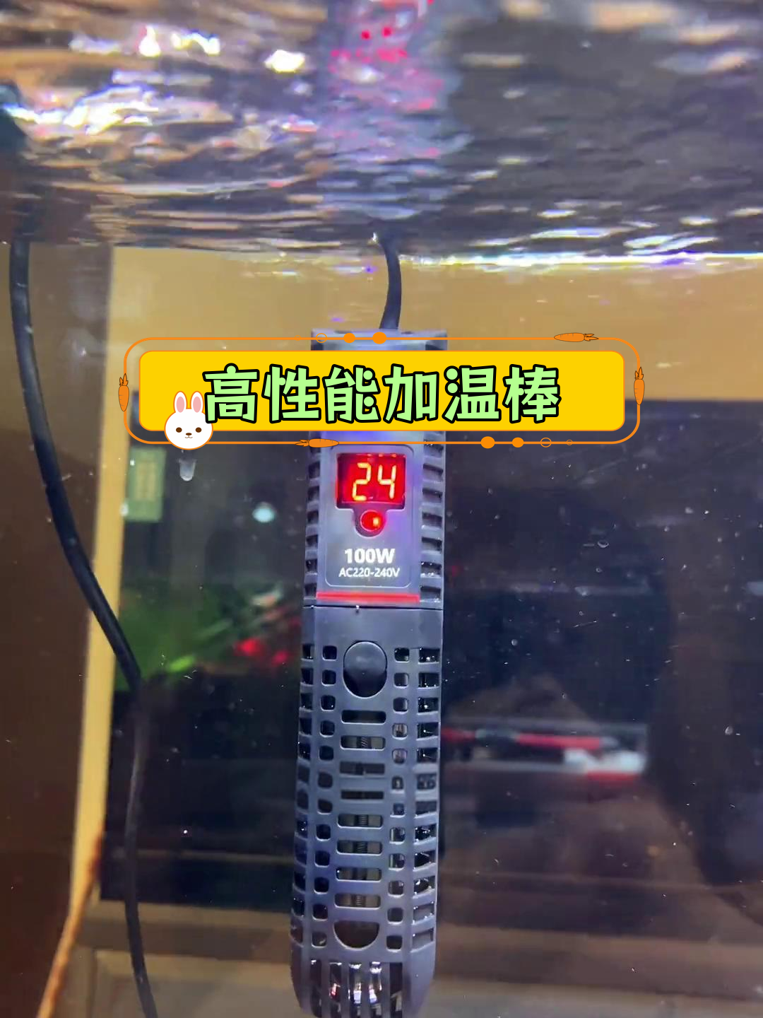 鱼缸加热棒性价比大揭秘,功能全面价格亲民