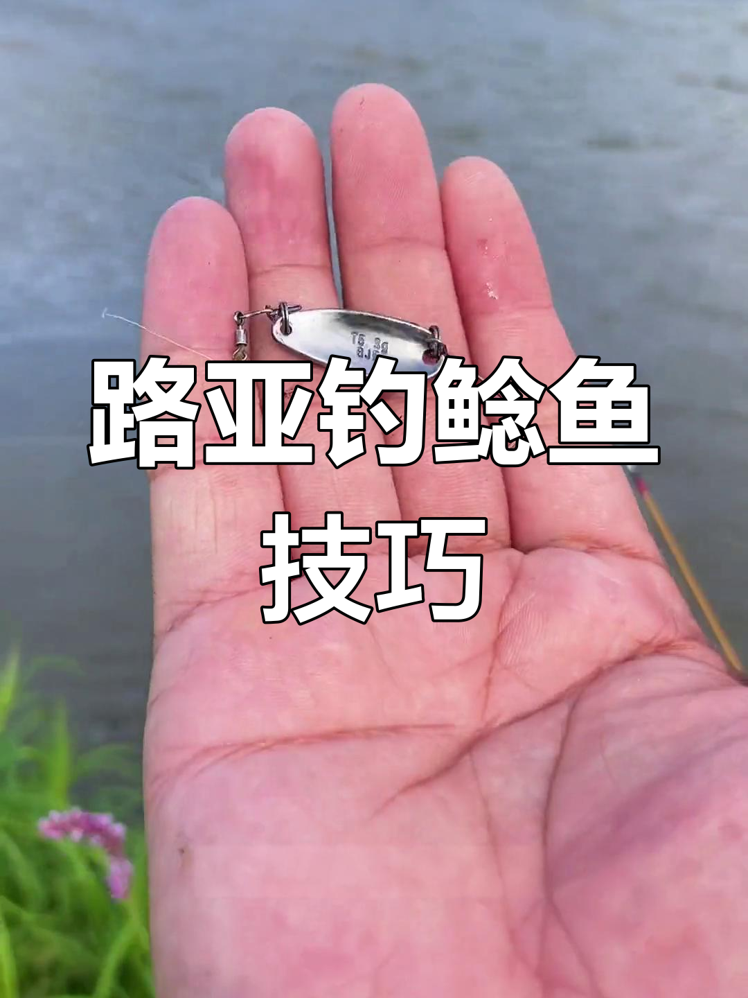 微物路亚钓鲶鱼最佳饵料推荐