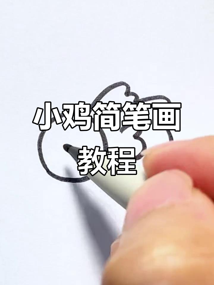 轻松画出可爱小鸡,步骤简单又有趣