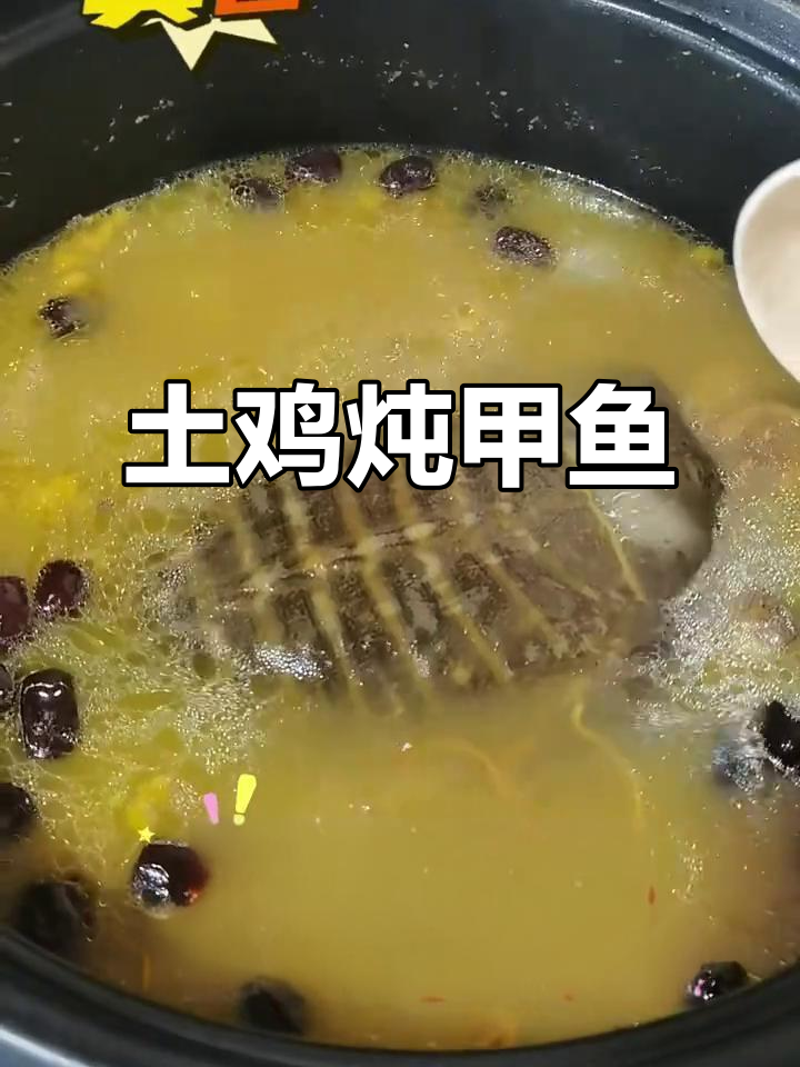 土鸡炖甲鱼,滋补美味汤