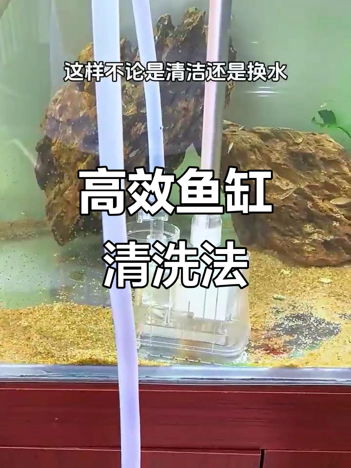 鱼缸吸便器测评:边冲边吸,彻底清洁不换水