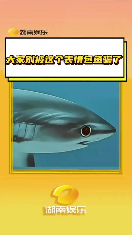 长尾鲨像极了手机里的表情包