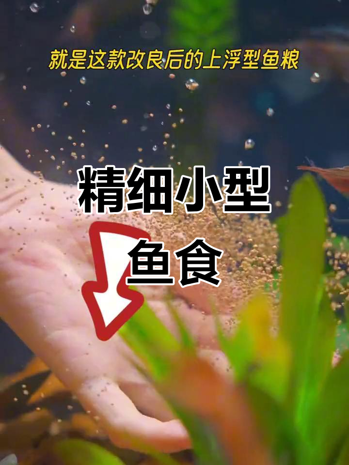 小型鱼饲料,适合各种热带观赏鱼的精致颗粒