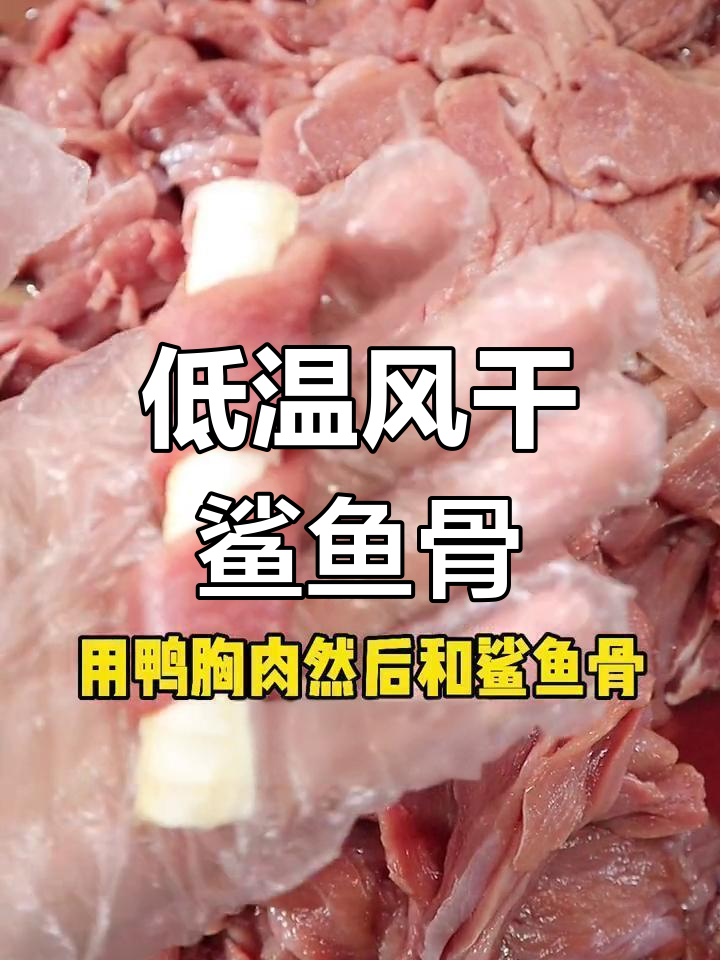 鲨鱼骨磨牙零食,宠物健康新选择