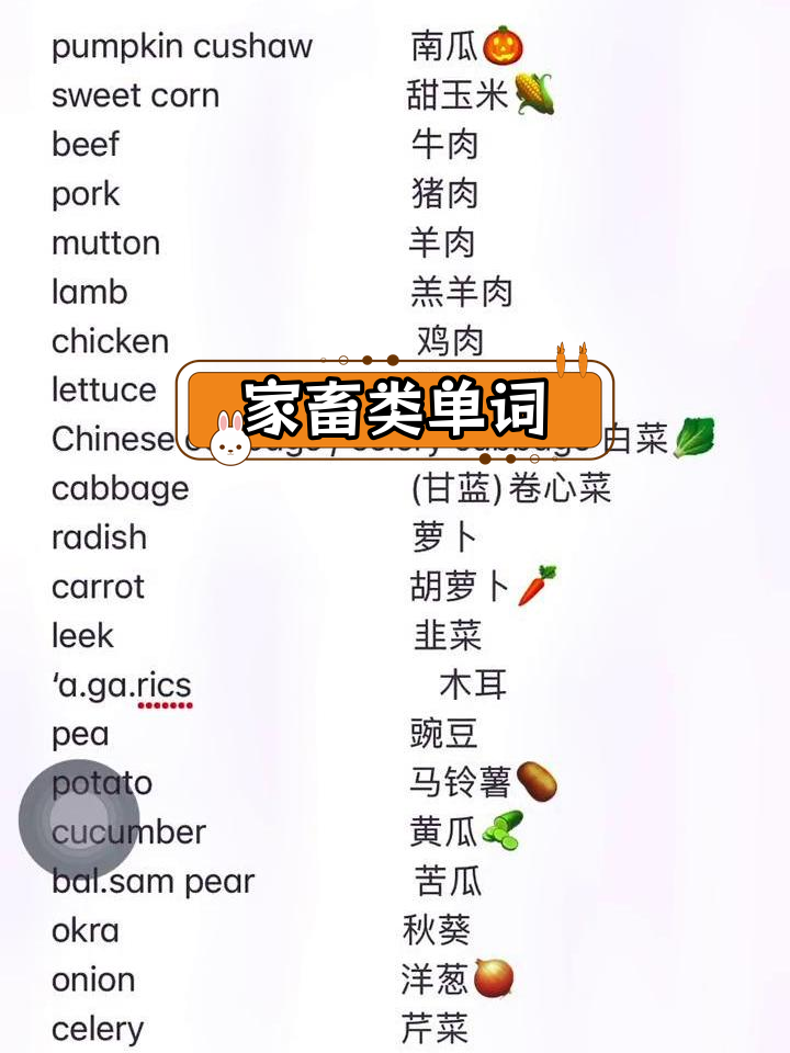 肉类与蔬菜英语单词汇总