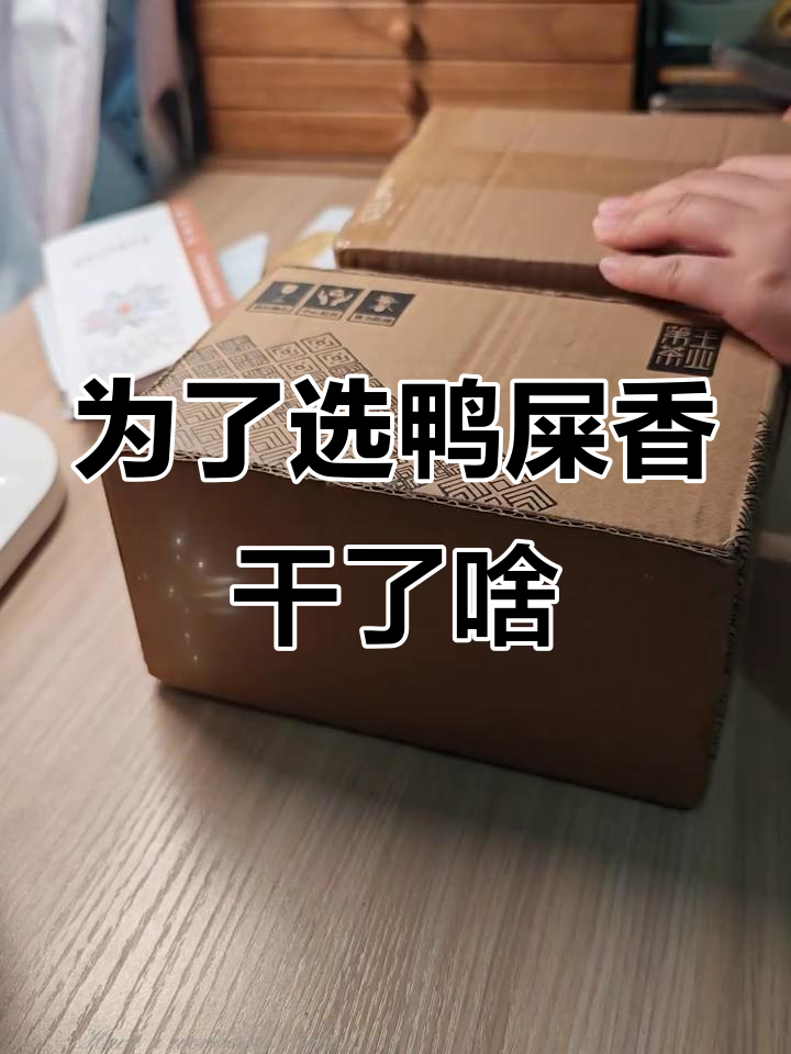 选鸭屎香茶叶,背后都做了这些工作