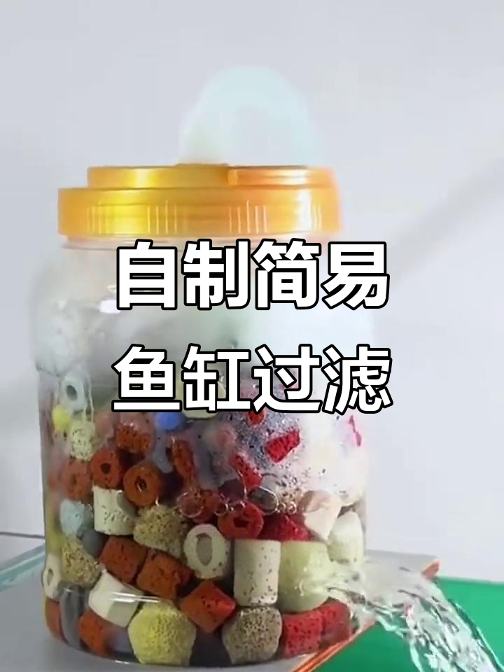 用矿泉水瓶DIY鱼缸过滤器,简单又高效