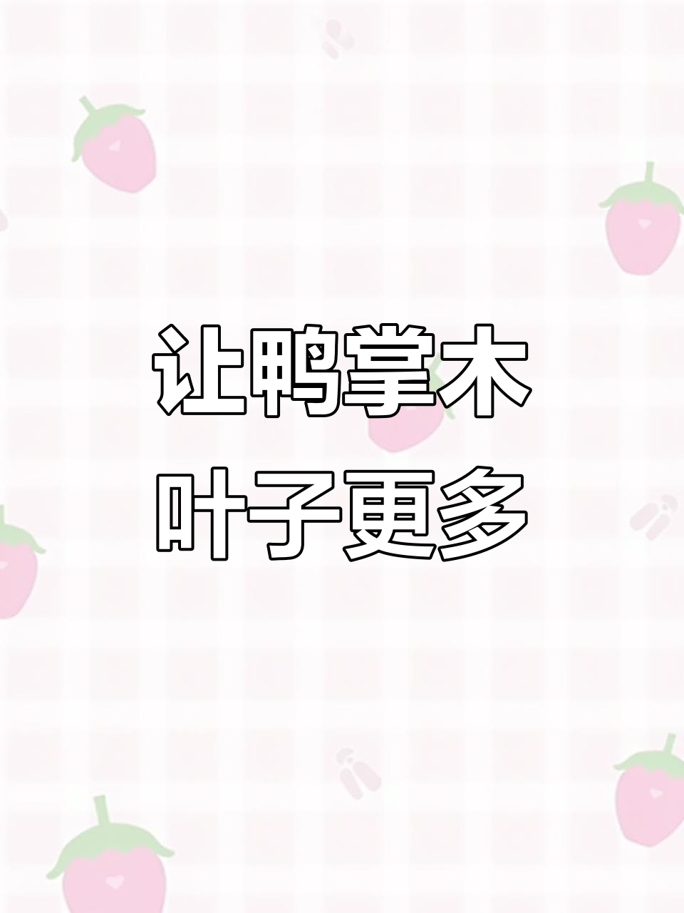 鸭掌木新叶猛增的三大秘诀，轻松打造更美的株形