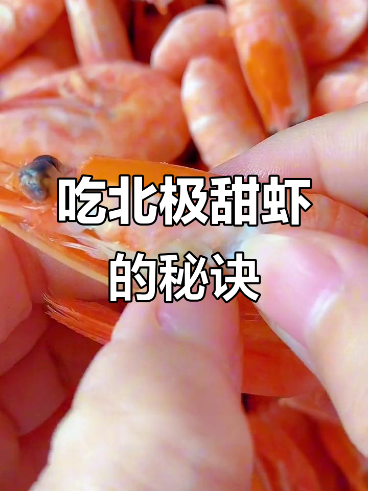 北极甜虾的正确吃法,别浪费了头部的籽!