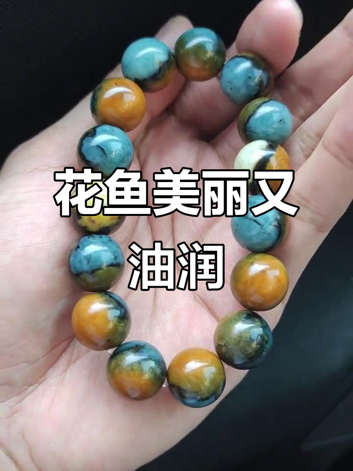 这款黄皮蓝肉花鱼太美了，油润感十足！