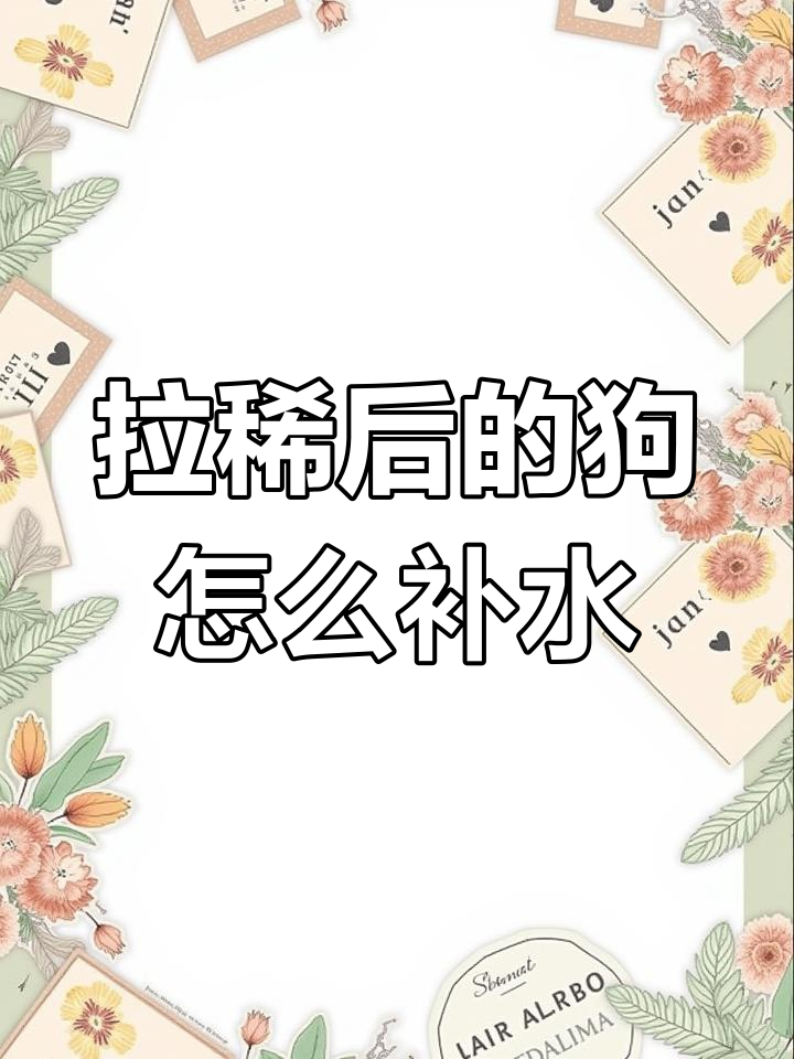 狗狗拉稀后如何有效补水