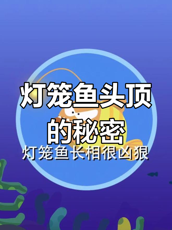 深海灯笼鱼的神秘“小灯”