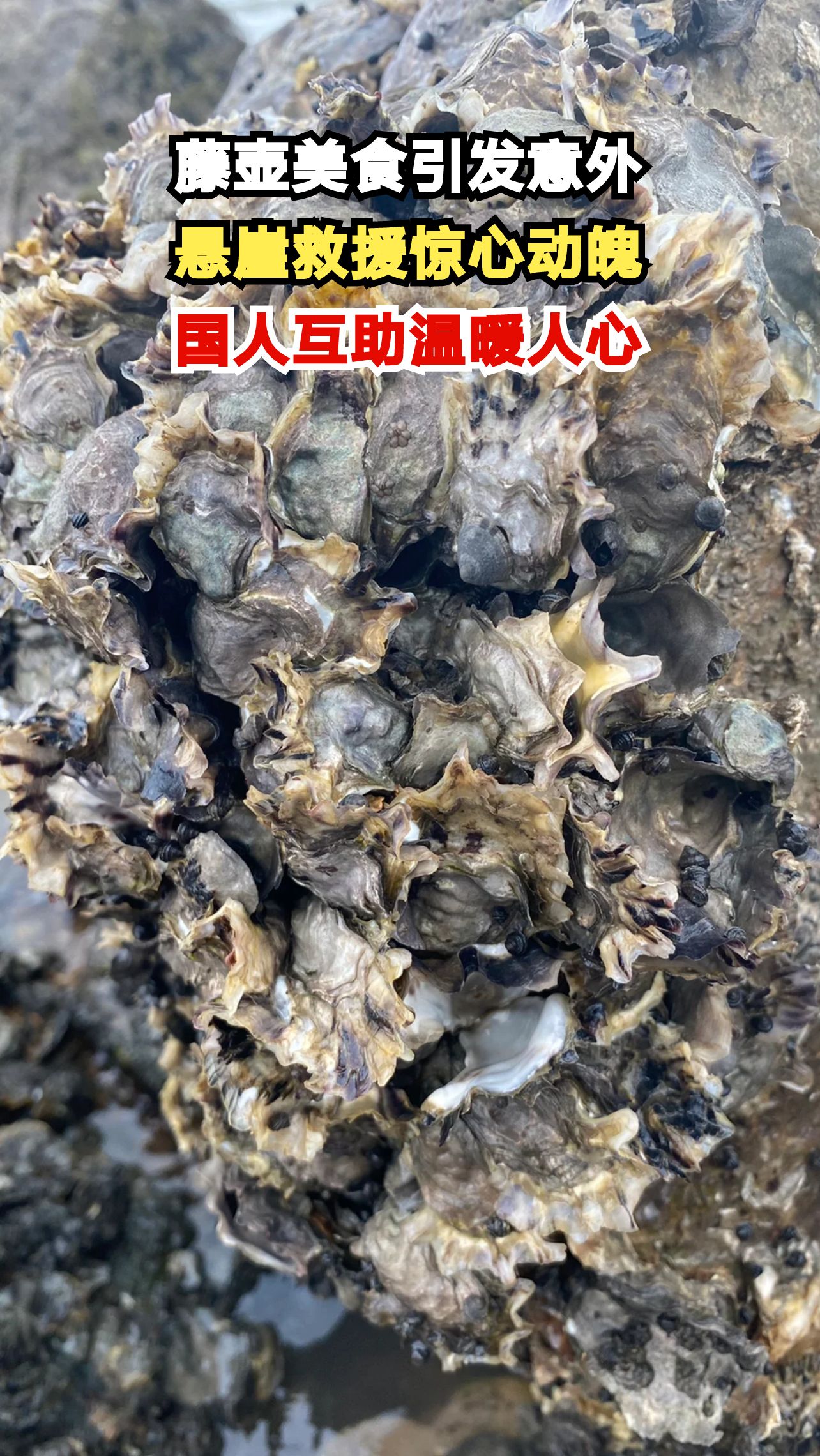悬崖边上的生死救援,国人用行动诠释大爱无疆