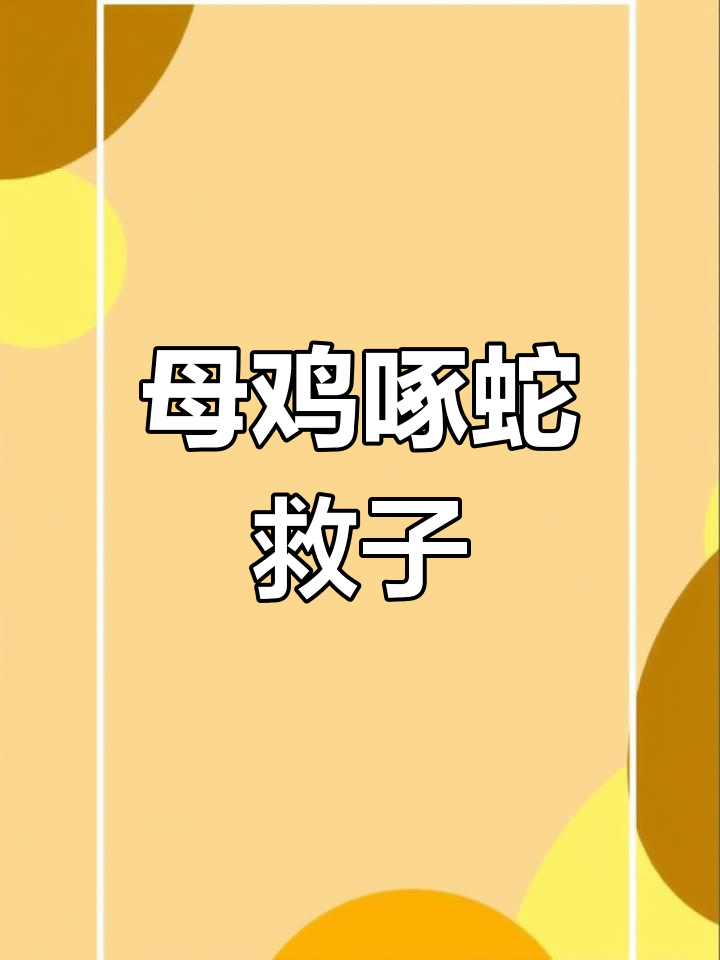母鸡勇斗大蛇,护小鸡拼尽全力