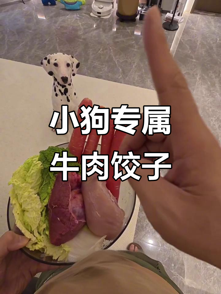 下雨天给小狗包牛肉饺子,胡萝卜白菜做馅料