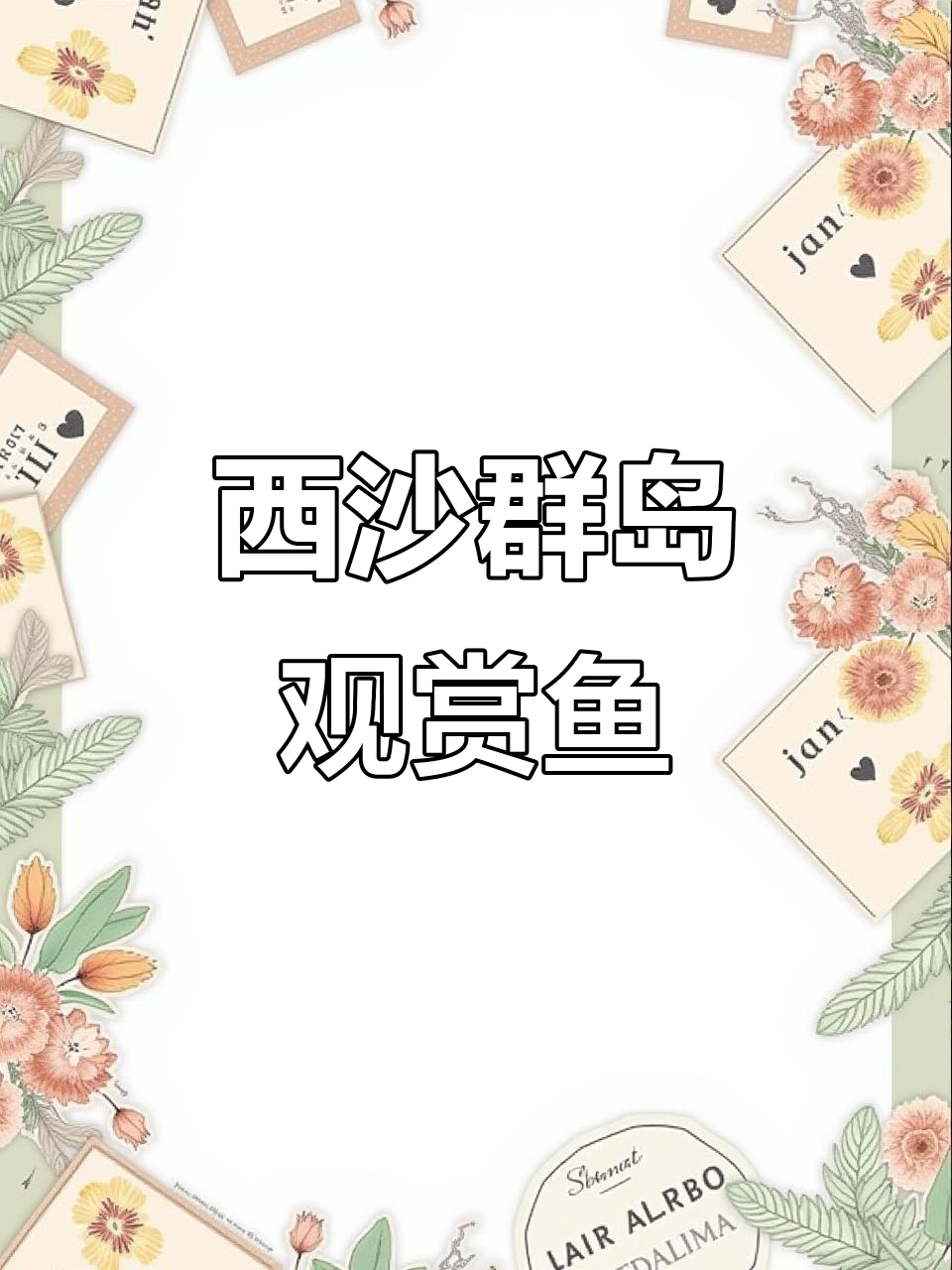 西沙群岛的美丽观赏鱼,种类繁多令人惊艳