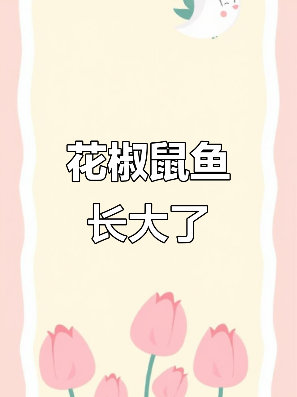 花椒鼠鱼成长记,变大变可爱