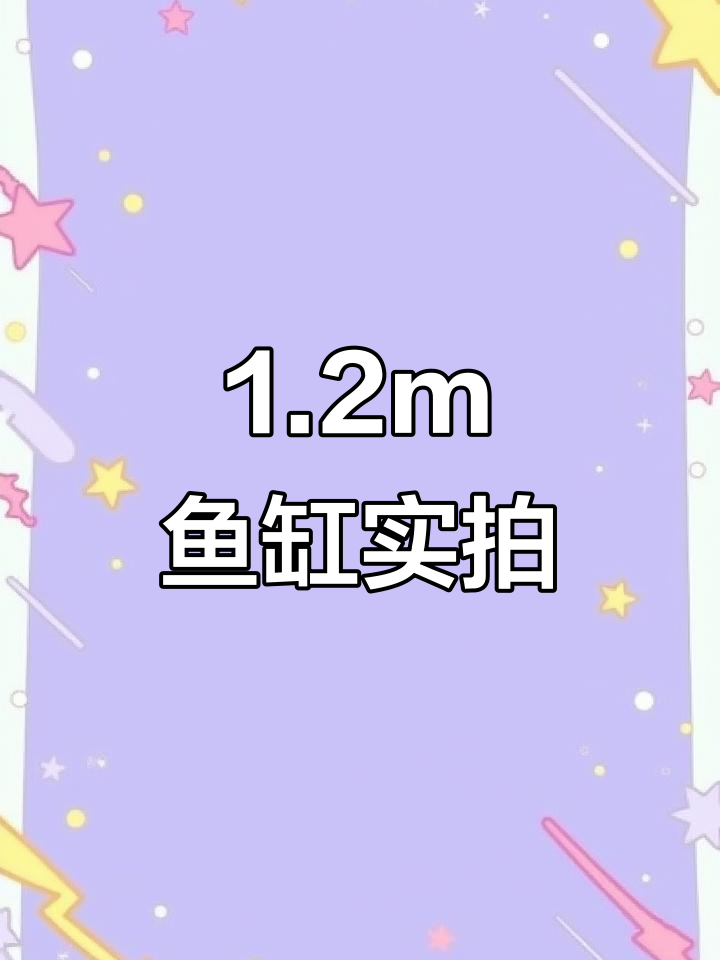 一米二鱼缸搭配无管道过滤,背景画超真实!