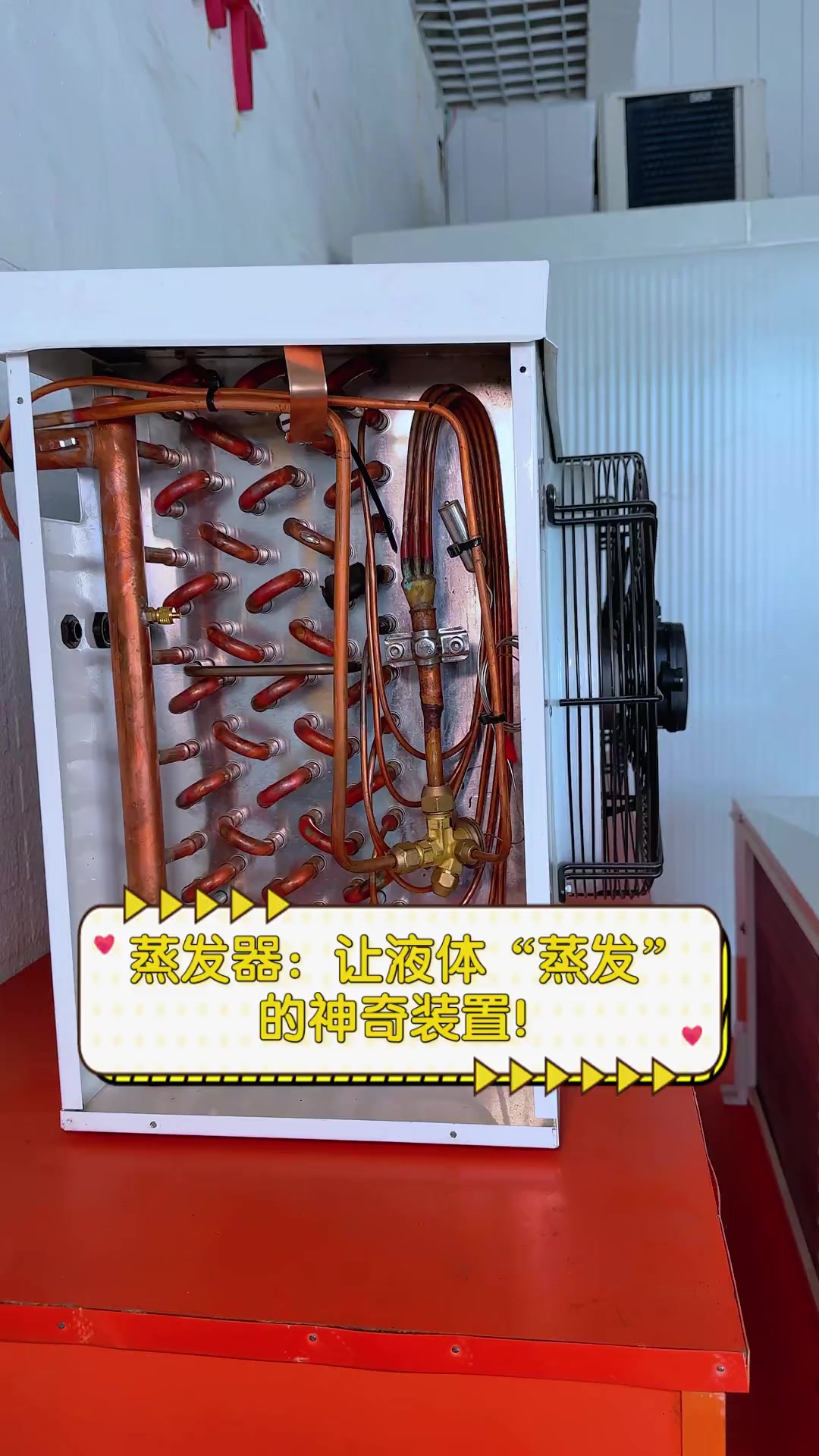 蒸发器:让液体“蒸发”的神奇装置!