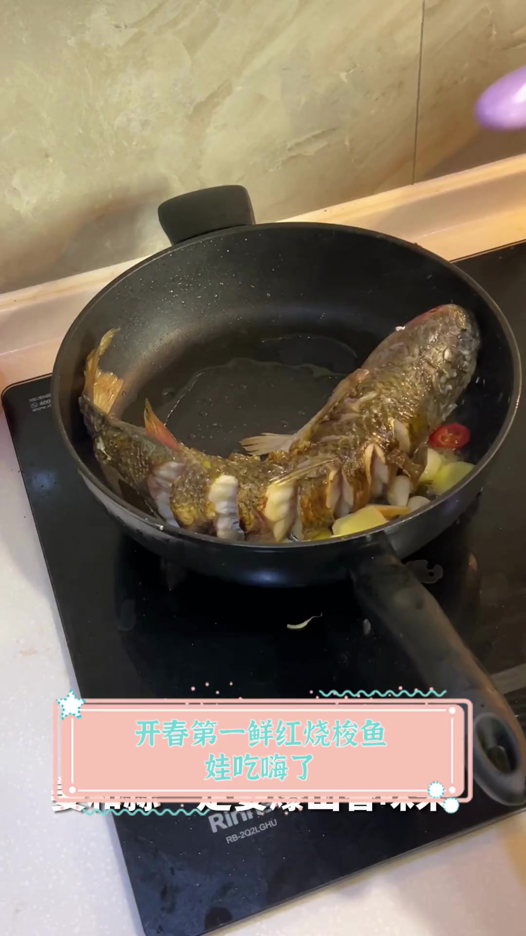 开春第一鲜红烧梭鱼,娃吃嗨了