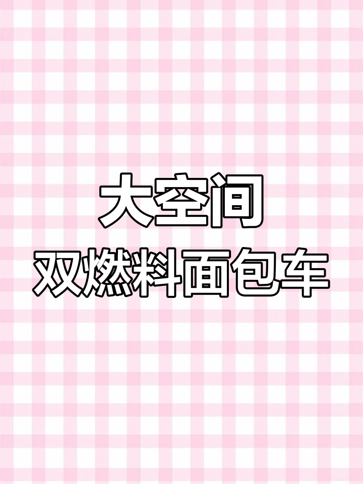 长安M80,超大空间油气两用面包车