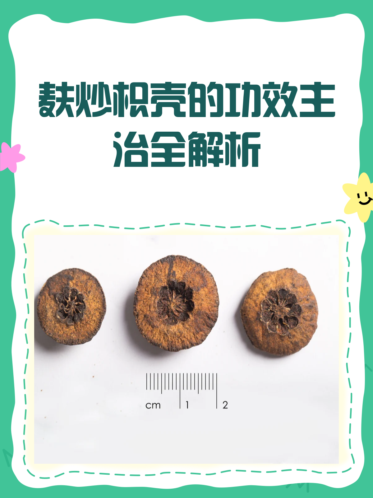 麸炒枳壳,理气消食的“温和派”高手!