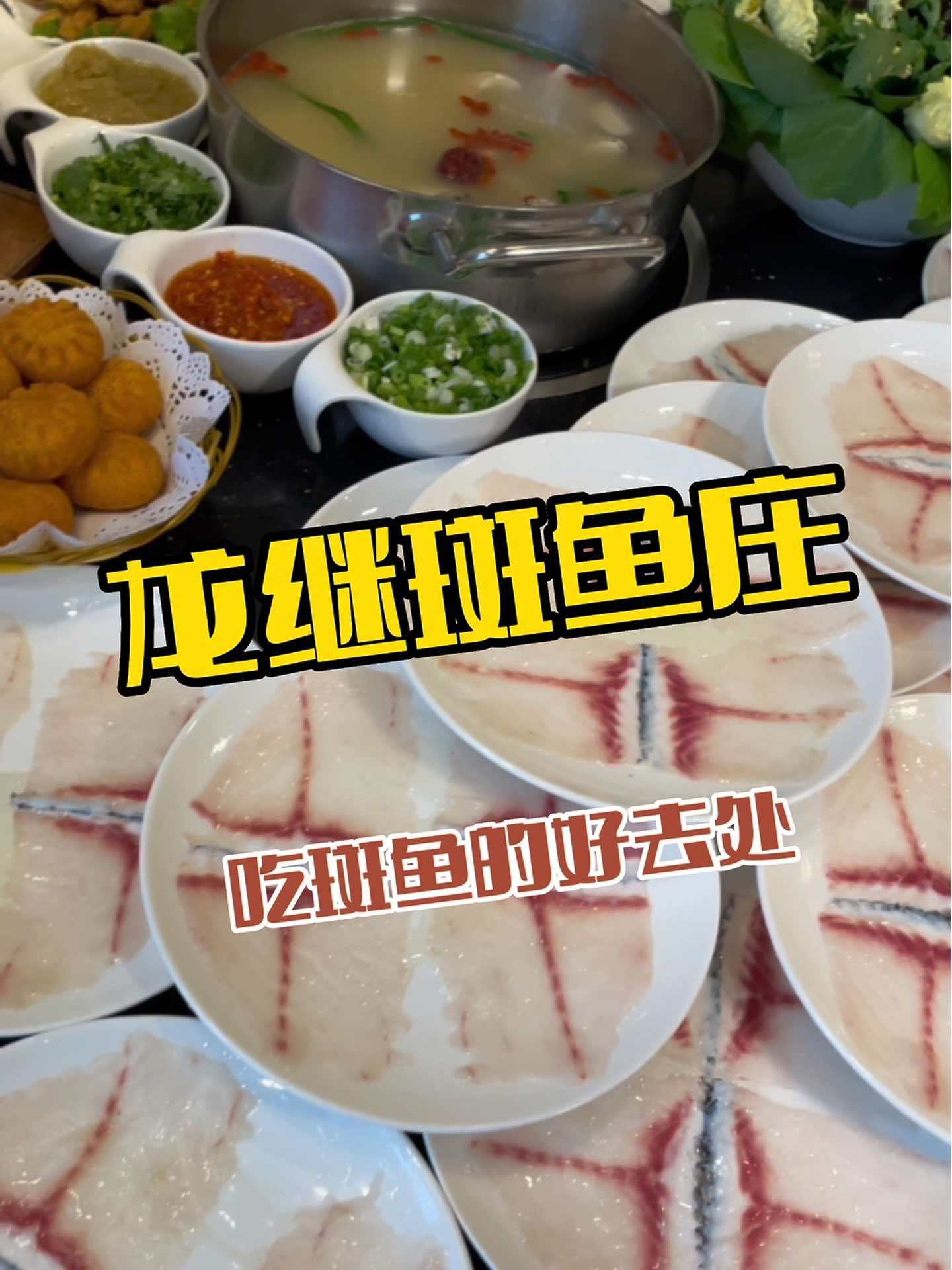 在鲅鱼圈吃正宗的斑鱼火锅就来龙继斑鱼庄 为五一假期准备512g的胃 抖音美食推荐官 一起吃