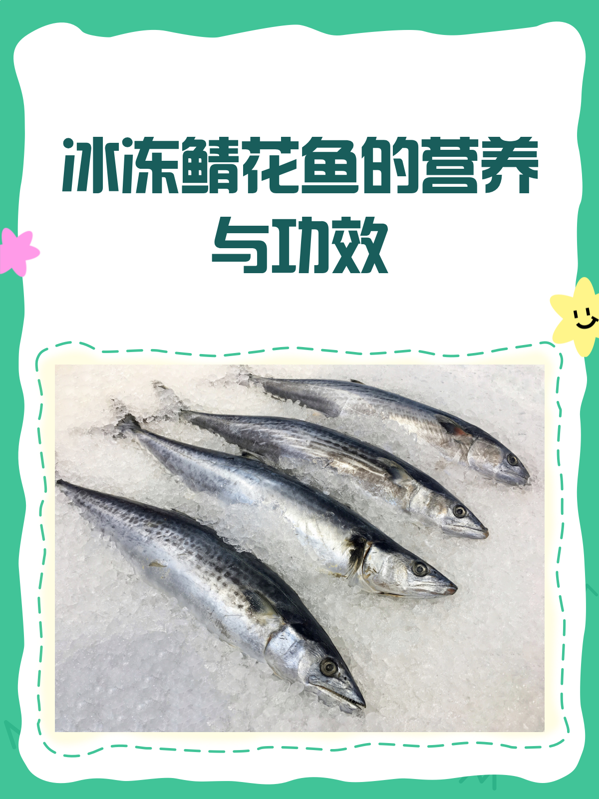 冰冻鲭花鱼,营养满满助力健康!