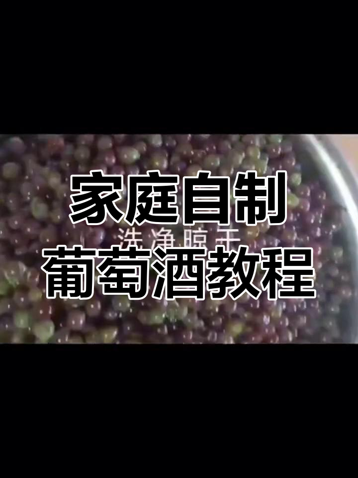 自制葡萄酒的完整步骤,轻松学会酿酒技巧