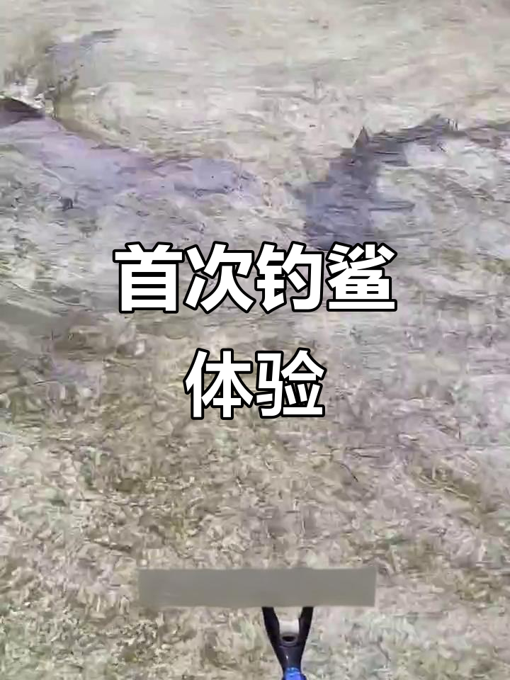第一次钓鲨鱼,装备都生锈了!白鳍、黑鳍全都来了