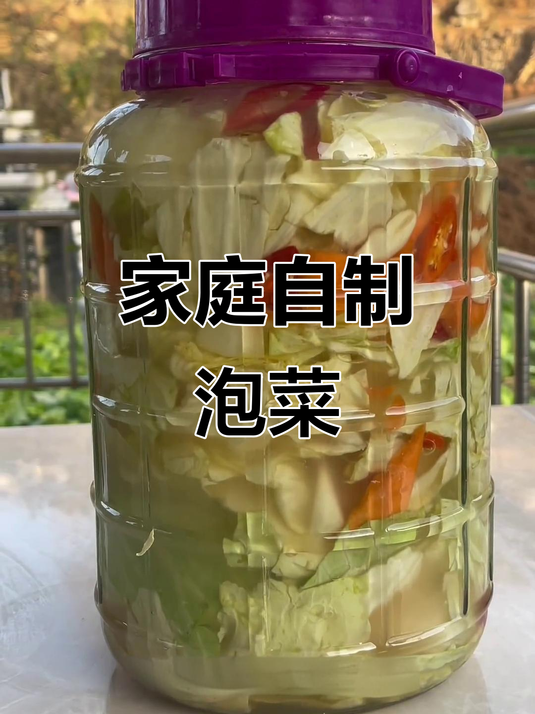 自制酸脆包菜泡菜,开胃又爽口!