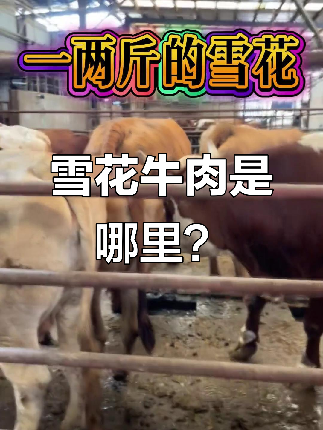 雪花牛肉的秘密:牛颈椎部位的珍贵美味