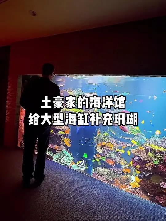 给运行了6年的大型海缸补充珊瑚,土豪家的海洋馆 别墅鱼缸设计 海水鱼珊瑚 鱼缸里的大自然 